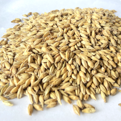 Lager Barley Malt