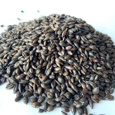 Roasted Barley