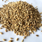 Wheat Malt