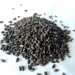 Chocolate malt