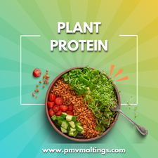 plant-protein